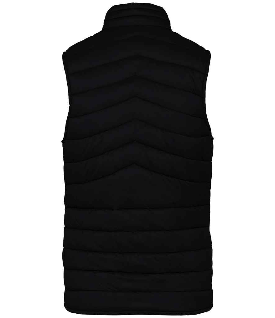 Native Spirit Ladies Light Recycled Bodywarmer - Image 3